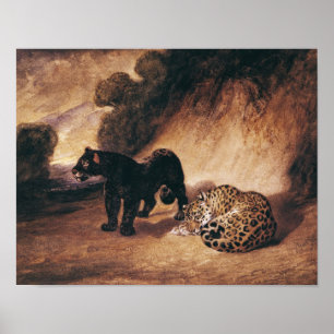 Två jaguar från Peru Poster