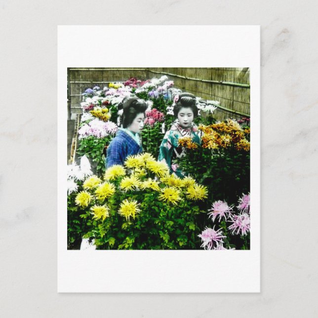 Två japanska geisha vid en färskshow Yokohama Vykort (Framsida)