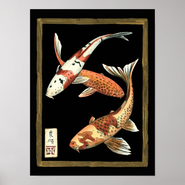 Två japanska koi Goldfish på svart bakgrund Poster (Framsidan)