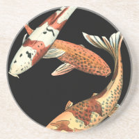 Två japanska koi Goldfish på svart bakgrund