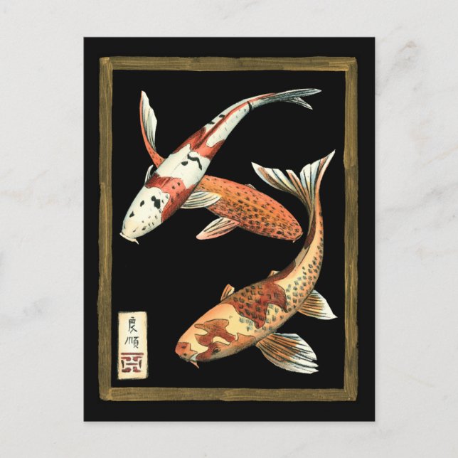Två japanska koi Goldfish på svart bakgrund Vykort (Framsida)