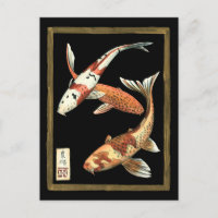 Två japanska koi Goldfish på svart bakgrund
