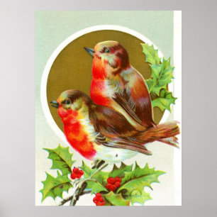 Två julrobiner poster