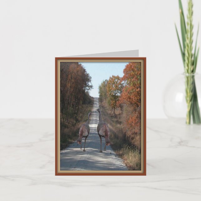 Två kalkoner helgkort (Framsida)