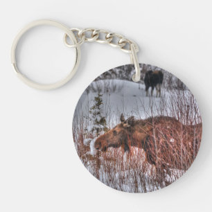 Två kanadensiska Vilder i Winter Marsh