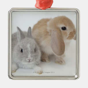 Två kaniner. Netherland dvärg och Holland Lop. Julgransprydnad Metall