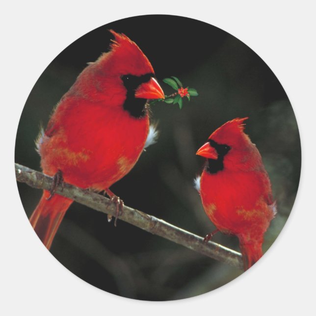 Två kardinaler - julomsförseglingar runt klistermärke (Framsida)