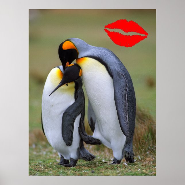 Två kärlek penguiner poster (Framsidan)