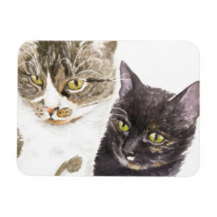 Två katter - tabb och tortie magnet