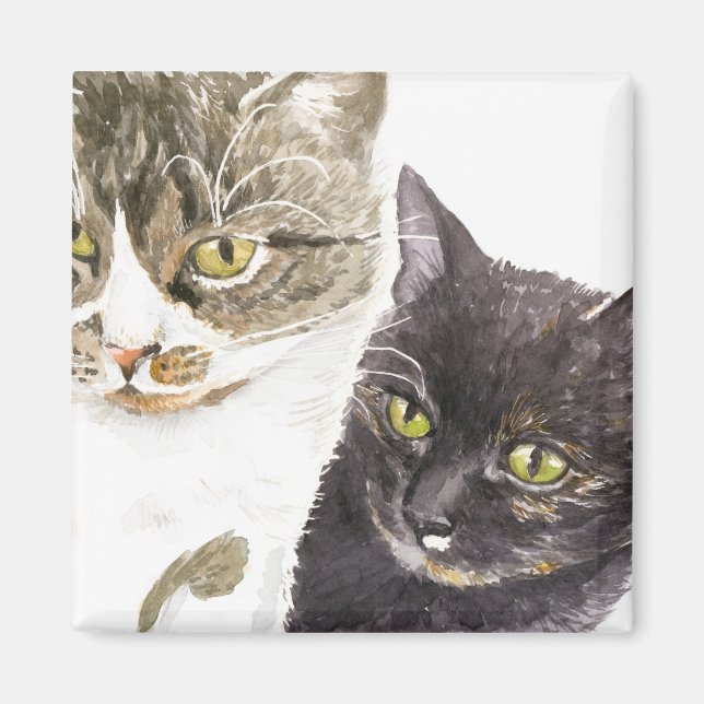 Två katter - tabb och tortie magnet (Framsidan)