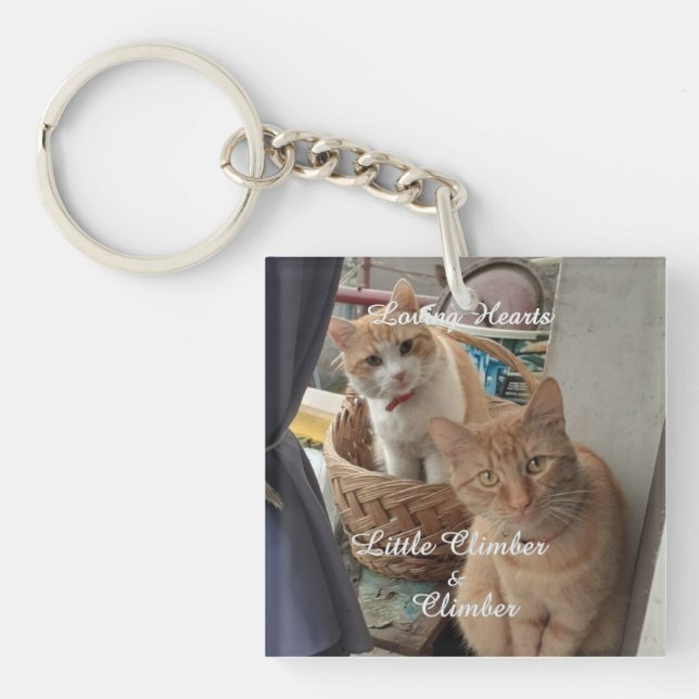 två katter, utbytbart foto och Namn, (Framsidan)
