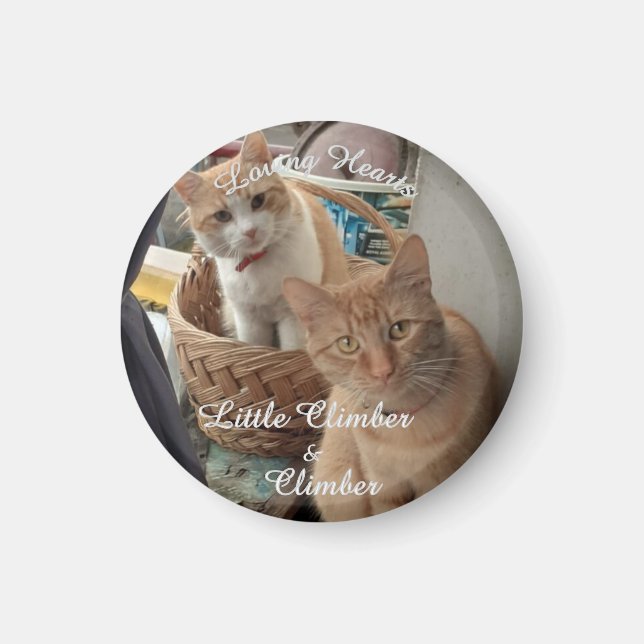 två katter, utbytbart foto och Namn, Magnet (Framsidan)