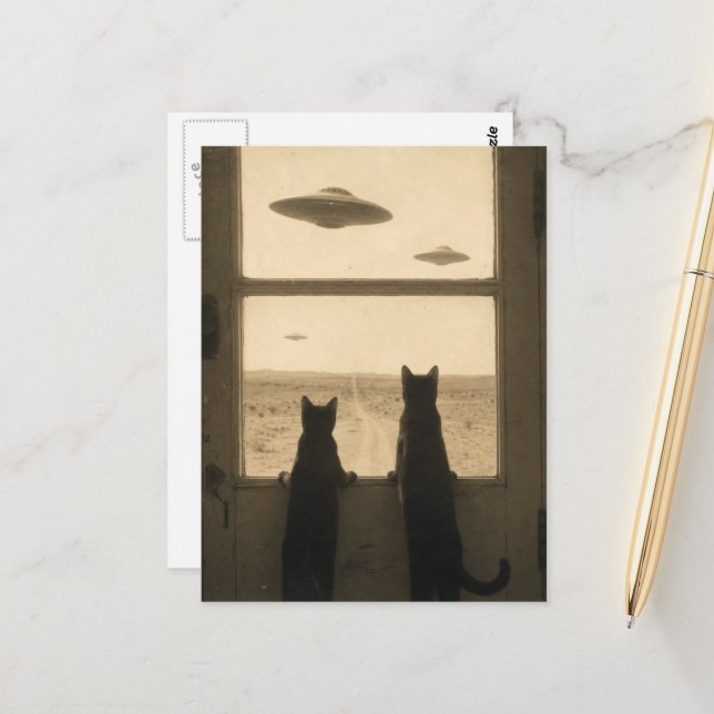 Två katter vid dörren och UFOs Vykort (Fram/Back In Situ)