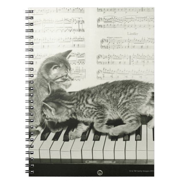 Två kattlekar på piano tangentbord, (B&W) Anteckningsbok Med Spiral (Framsidan)