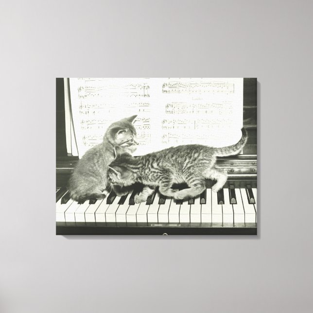 Två kattlekar på piano tangentbord, (B&W) Canvastryck (Framsida)