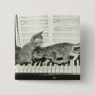 Två kattlekar på piano tangentbord, (B&W) Knapp