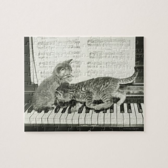 Två kattlekar på piano tangentbord, (B&W) Pussel (Horisontell)