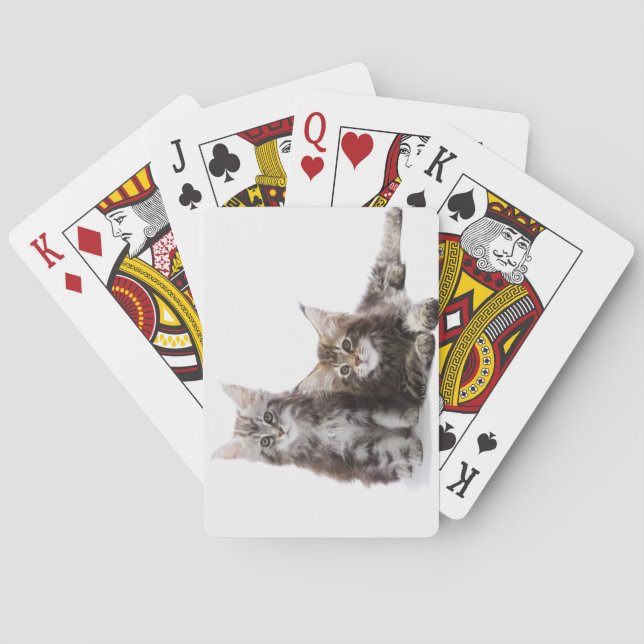 Två kattungar av Maine coon cat Kortlek (Baksidan)