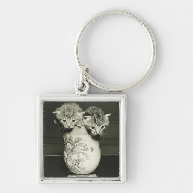 Två kattungar som gömmer i vas, (B&W) Fyrkantig Silverfärgad Nyckelring (Framsidan)