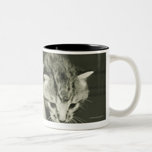 Två kattungar som gömmer i vas, (B&W) Två-Tonad Mugg (Höger)