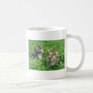 Två kattungar som leker i gräset kaffemugg