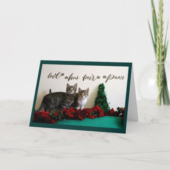 Två kattungar till jul helgkort (Framsida)