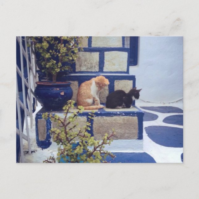 Två kittens glädjer sig åt dagen vykort (Framsida)