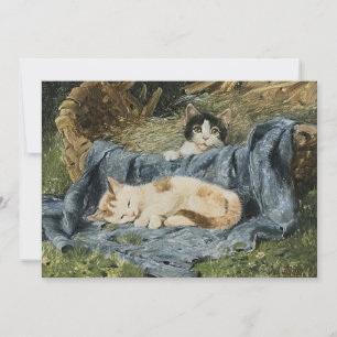 Två Kittens Julius Adam the Younger