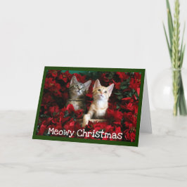 Två kittens och Poinsettias Helgkort