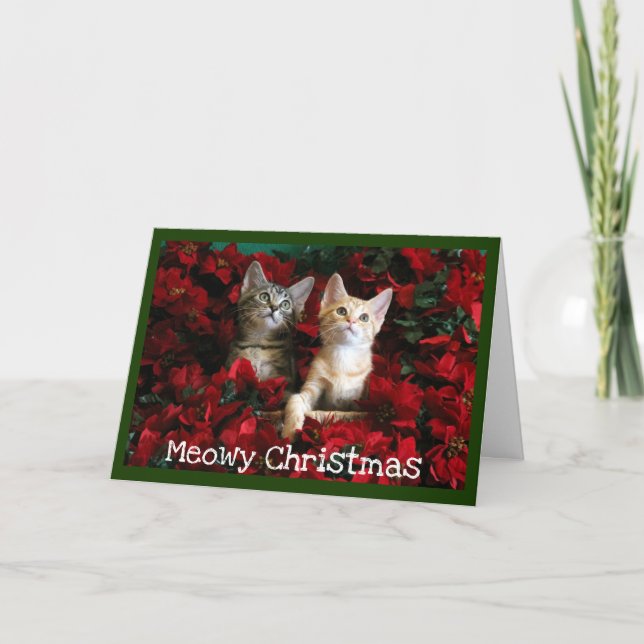 Två kittens och Poinsettias Helgkort (Framsida)