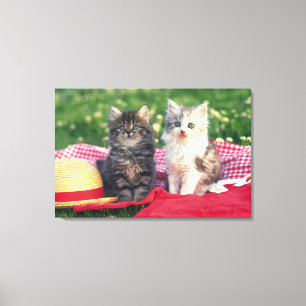 Två kittens Sitta på en röd Färgad-rulle Canvastryck