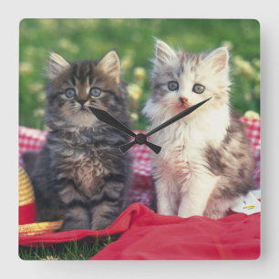 Två kittens Sitta på en röd Färgad-rulle Fyrkantig Klocka