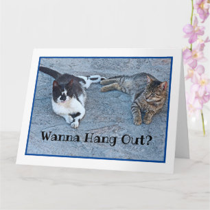 TVÅ KITTENS /WANNA HANG UT? - JAG HAR MISSLYCKAT D KORT