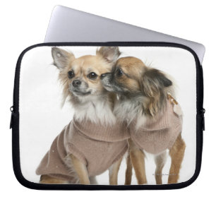 Två klädde Chihuahuas (2 gammala år) Laptop Fodral