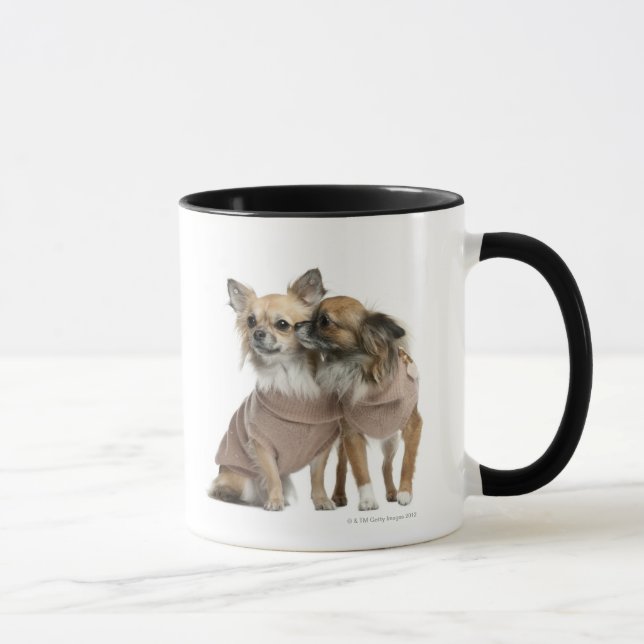 Två klädde Chihuahuas (2 gammala år) Mugg (Höger)