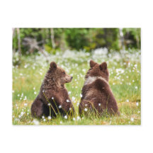 Två kompisars vykort