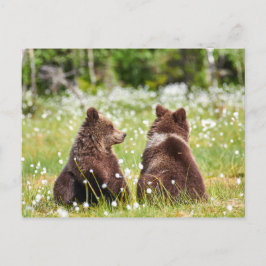 Två kompisars vykort