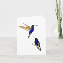 Två koronet Hummingbird-gratulationskort Kort