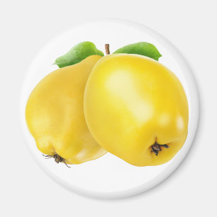 Två kvainfrukter magnet