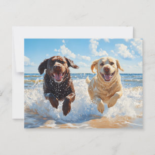 Två Labrador Retriever på strand Vykort