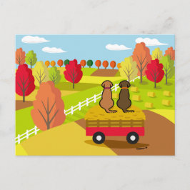 Två Labradors på hayvagnen i Fall Postcard Vykort