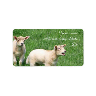 Två Lambs Adressetikett