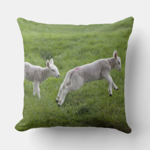Två Lambs Kudde