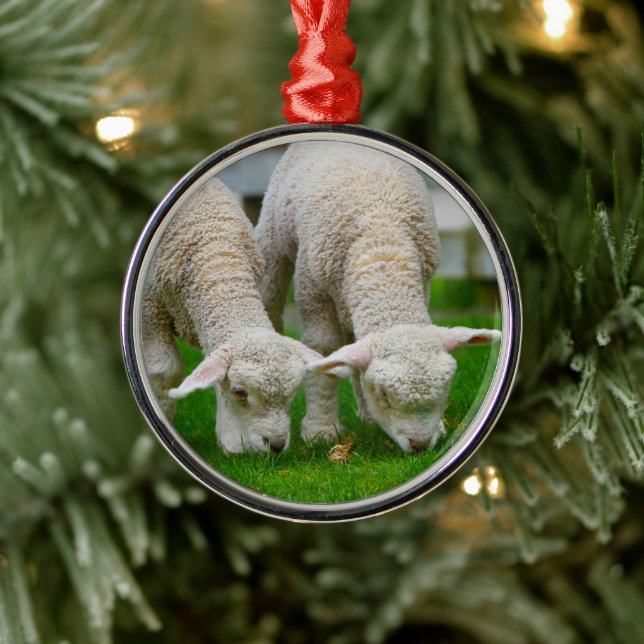 Två lamm betande ornament (Träd)