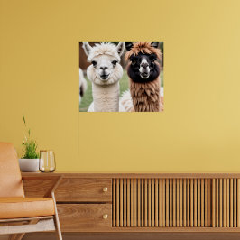 Två lamor poster