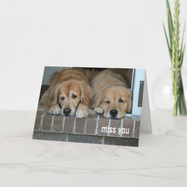 Två Ledsarna Golden Retriever Hundar saknar dig Kort (Framsida)