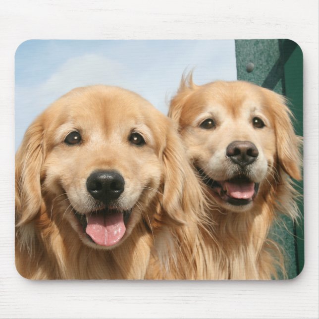 Två leende Golden Retrievers Musmatta (Framsidan)