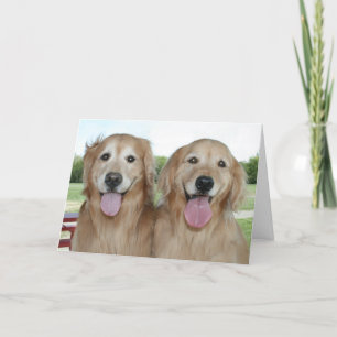 Två leende Golden Retrievers säger bara hej Kort