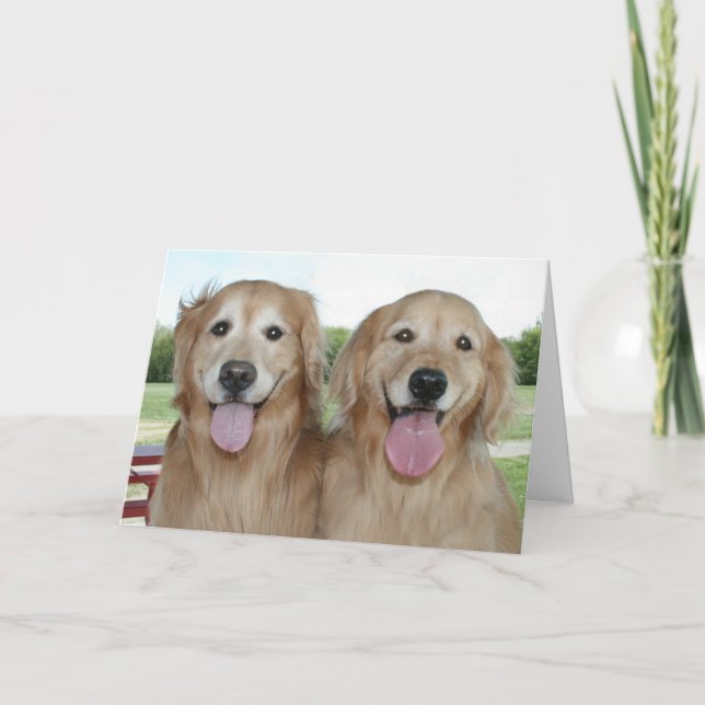 Två leende Golden Retrievers säger bara hej Kort (Framsida)