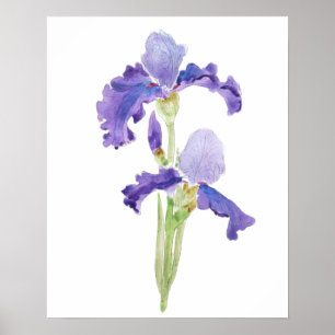 två lila bläck och vattenfärg poster